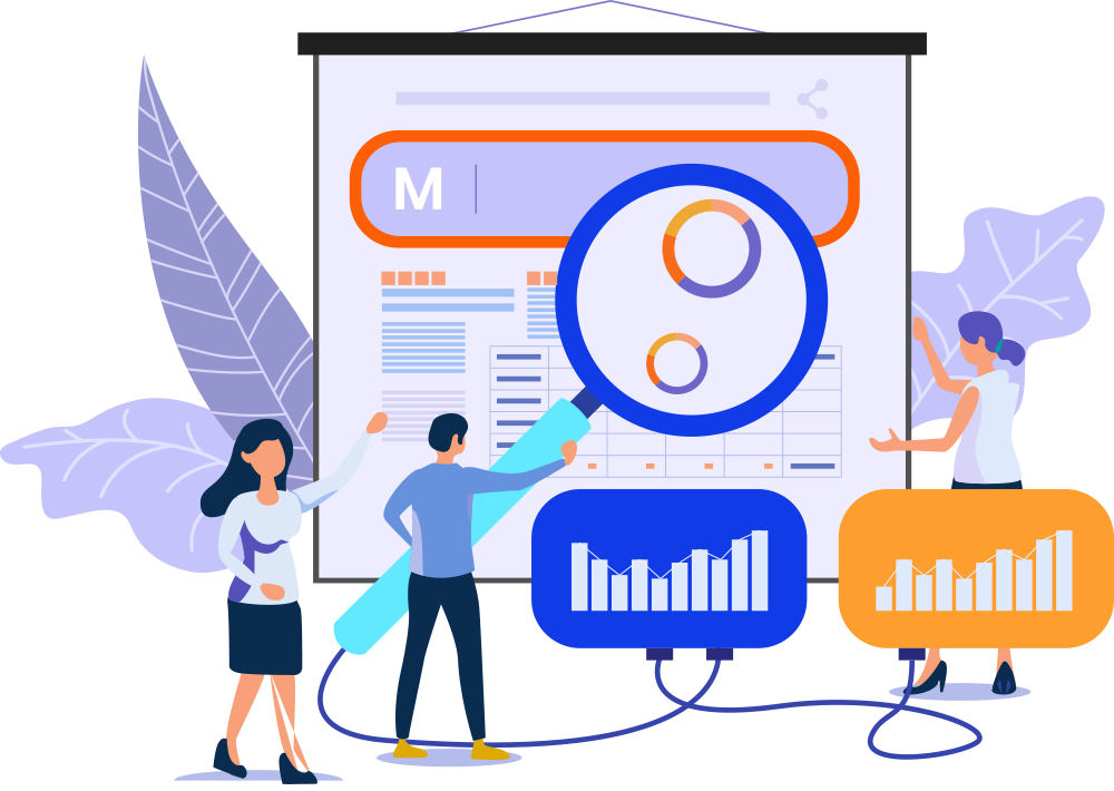 SEO team analyzing website search performance
